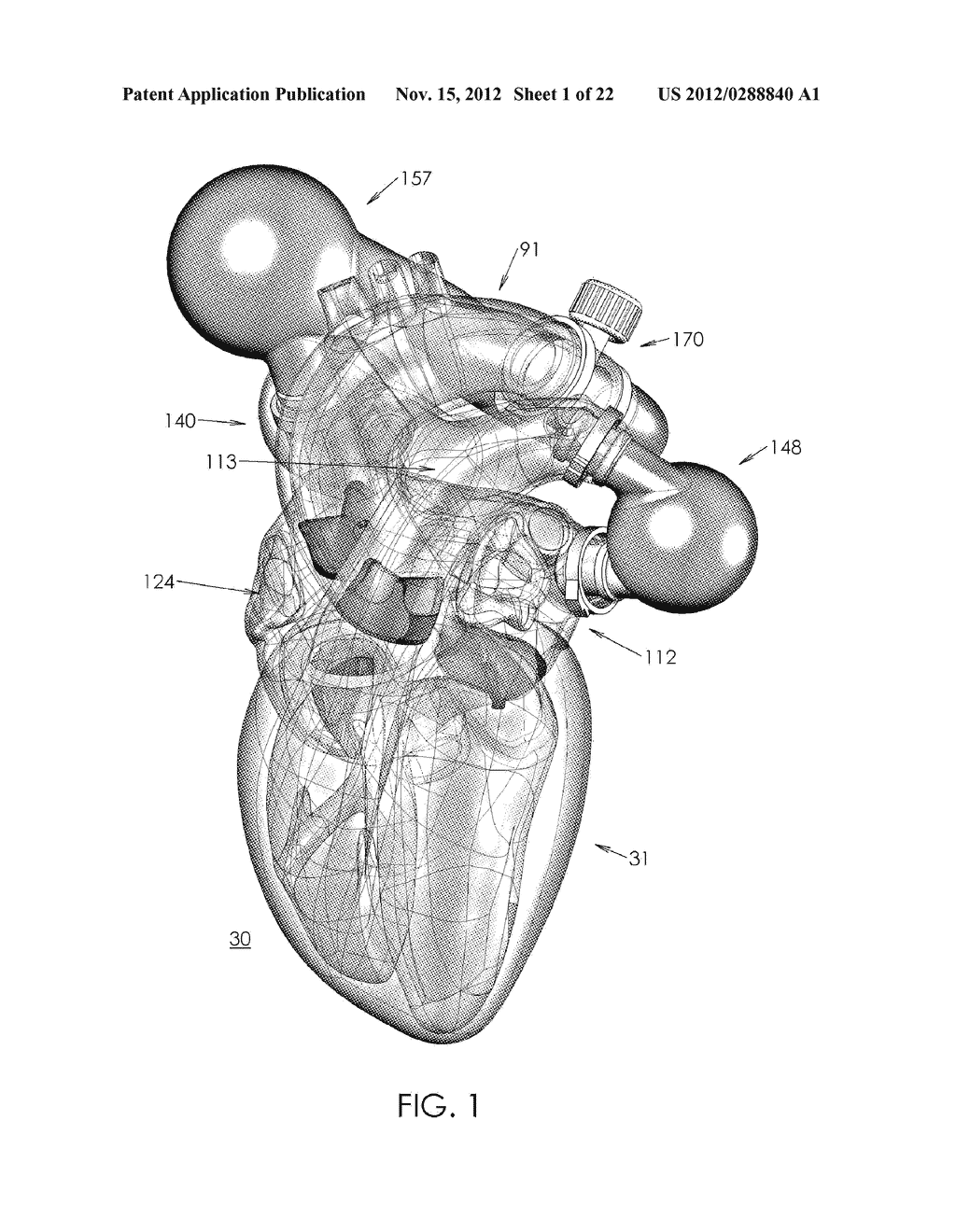 CIRCULATORY HEART MODEL - diagram, schematic, and image 02