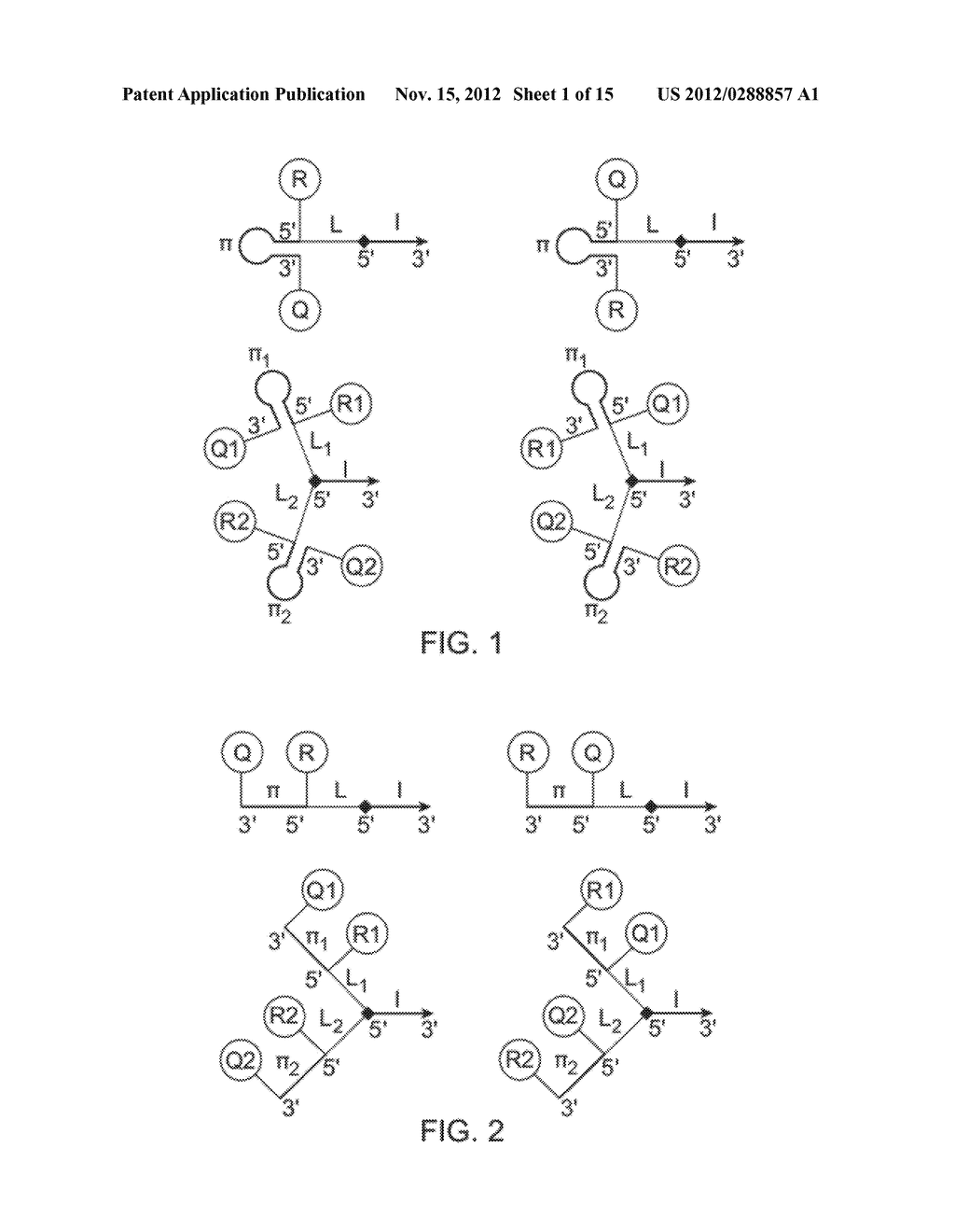 MULTIFUNCTIONAL PROBE-PRIMERS - diagram, schematic, and image 02