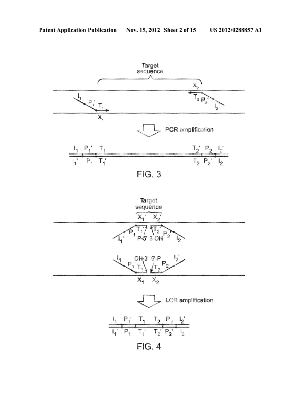 MULTIFUNCTIONAL PROBE-PRIMERS - diagram, schematic, and image 03