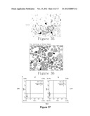 NOVEL IDENTIFIED ONCOGENE WITH KINASE-DOMAIN (NOK) diagram and image