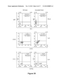 NOVEL IDENTIFIED ONCOGENE WITH KINASE-DOMAIN (NOK) diagram and image