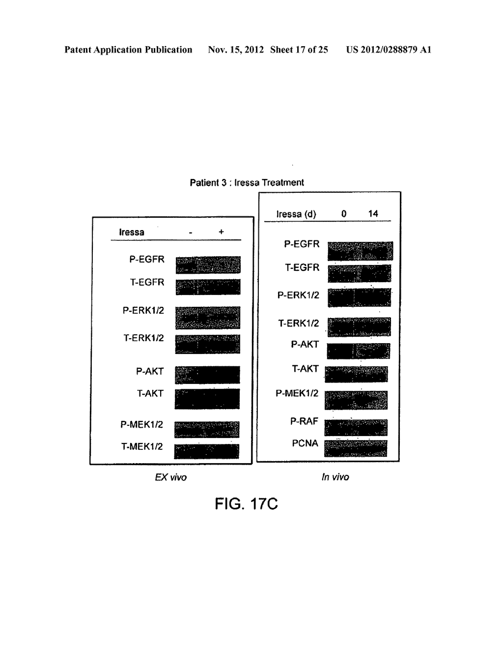 METHODS FOR DEVELOPING AND ASSESSING THERAPEUTIC AGENTS - diagram, schematic, and image 18