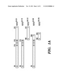 INHIBITING BINDING OF FGF23 TO THE BINARY FGFR-KLOTHO COMPLEX FOR THE     TREATMENT OF HYPOPHOSPHATEMIA diagram and image