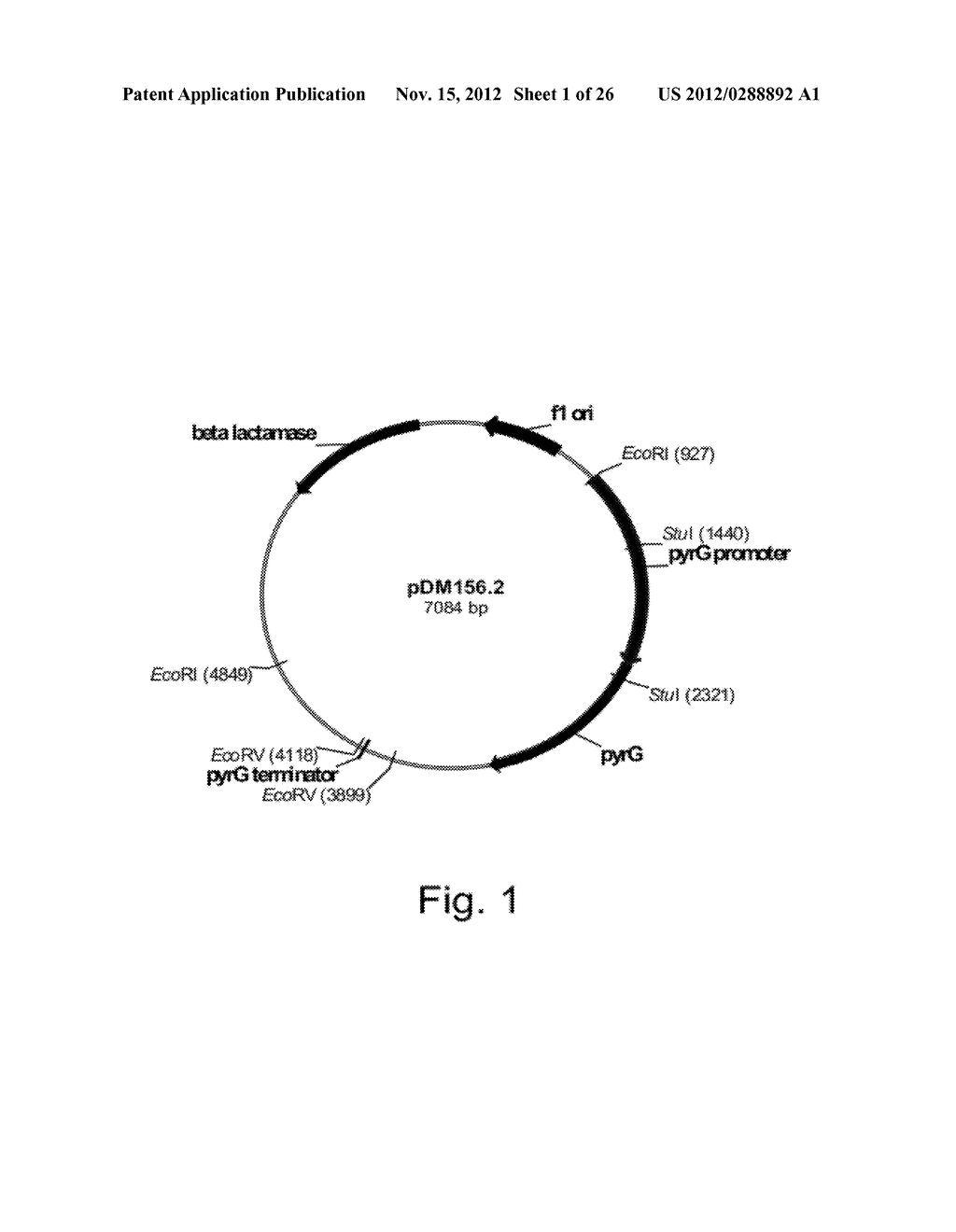 Methods for Producing Polypeptidies in Protease-Deficient Mutants of     Trichoderma - diagram, schematic, and image 02