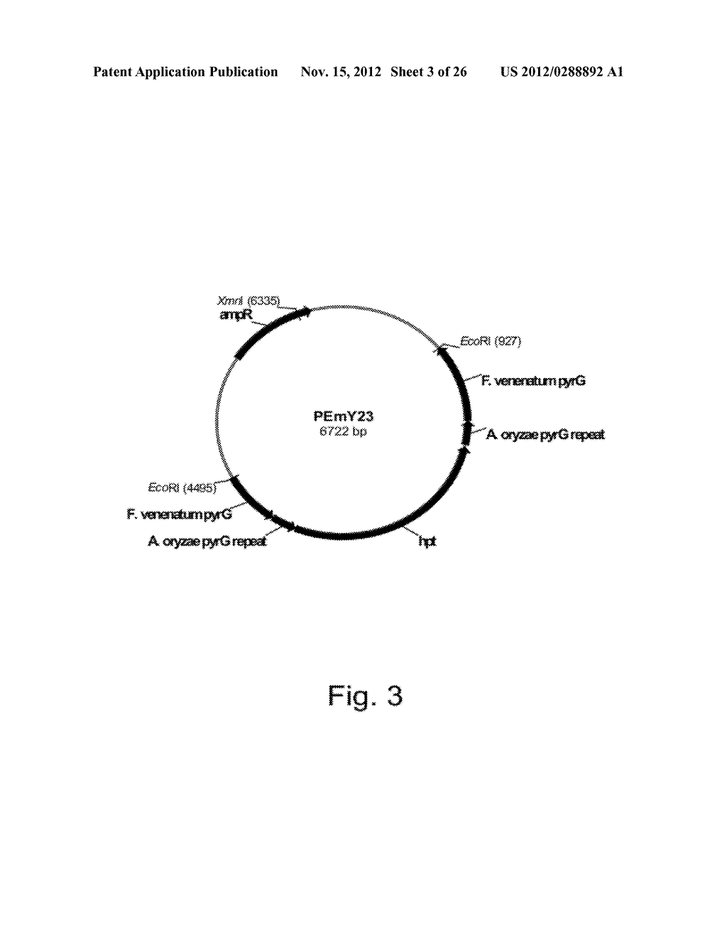 Methods for Producing Polypeptidies in Protease-Deficient Mutants of     Trichoderma - diagram, schematic, and image 04