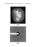 NOVEL FUSION PARTNERS FOR THE PURPOSE OF CRYSTALLIZING G-PROTEIN COUPLED     RECEPTORS diagram and image