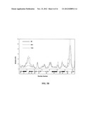 CRYSTAL STRUCTURE OF GLYPHOSATE ACETYLTRANSFERASE (GLYAT) AND METHODS OF     USE diagram and image