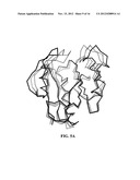 CRYSTAL STRUCTURE OF GLYPHOSATE ACETYLTRANSFERASE (GLYAT) AND METHODS OF     USE diagram and image