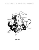 CRYSTAL STRUCTURE OF GLYPHOSATE ACETYLTRANSFERASE (GLYAT) AND METHODS OF     USE diagram and image