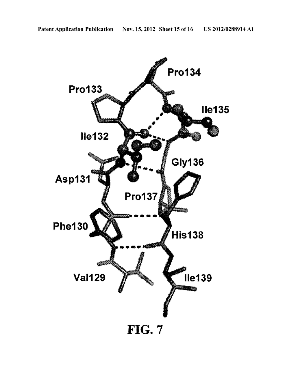 CRYSTAL STRUCTURE OF GLYPHOSATE ACETYLTRANSFERASE (GLYAT) AND METHODS OF     USE - diagram, schematic, and image 16