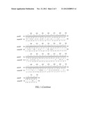 MODIFIED NUCLEOTIDE MOLECULES OF XYLANASE AND APPLICATION THEREOF diagram and image