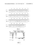 MODIFIED NUCLEOTIDE MOLECULES OF XYLANASE AND APPLICATION THEREOF diagram and image