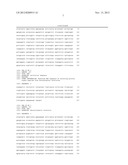 MODIFIED NUCLEOTIDE MOLECULES OF XYLANASE AND APPLICATION THEREOF diagram and image