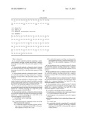 MODIFIED NUCLEOTIDE MOLECULES OF XYLANASE AND APPLICATION THEREOF diagram and image