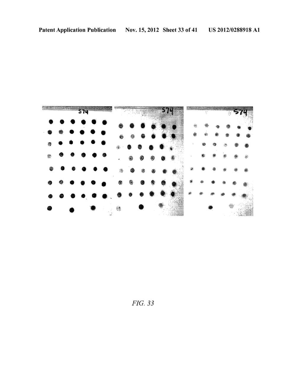 SALT TOLERANT ORGANISMS - diagram, schematic, and image 34