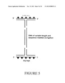 OPTICAL TRAPPING PARTICLES, ANGULAR OPTICAL TRAP SYSTEMS, METHODS OF     MAKING, AND METHODS OF USE diagram and image