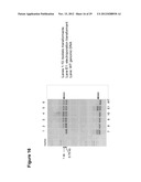 Lipid Pathway Modification in Oil-Bearing Microorganisms diagram and image