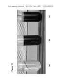 Lipid Pathway Modification in Oil-Bearing Microorganisms diagram and image