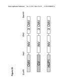 Lipid Pathway Modification in Oil-Bearing Microorganisms diagram and image