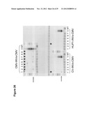 Lipid Pathway Modification in Oil-Bearing Microorganisms diagram and image