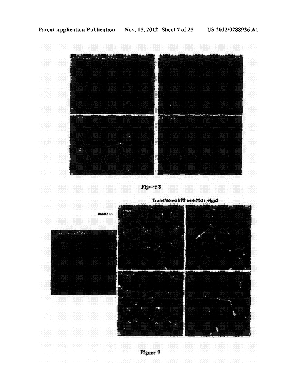 METHODS FOR REPROGRAMMING CELLS AND USES THEREOF - diagram, schematic, and image 08