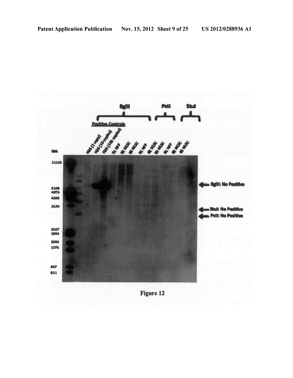 METHODS FOR REPROGRAMMING CELLS AND USES THEREOF - diagram, schematic, and image 10