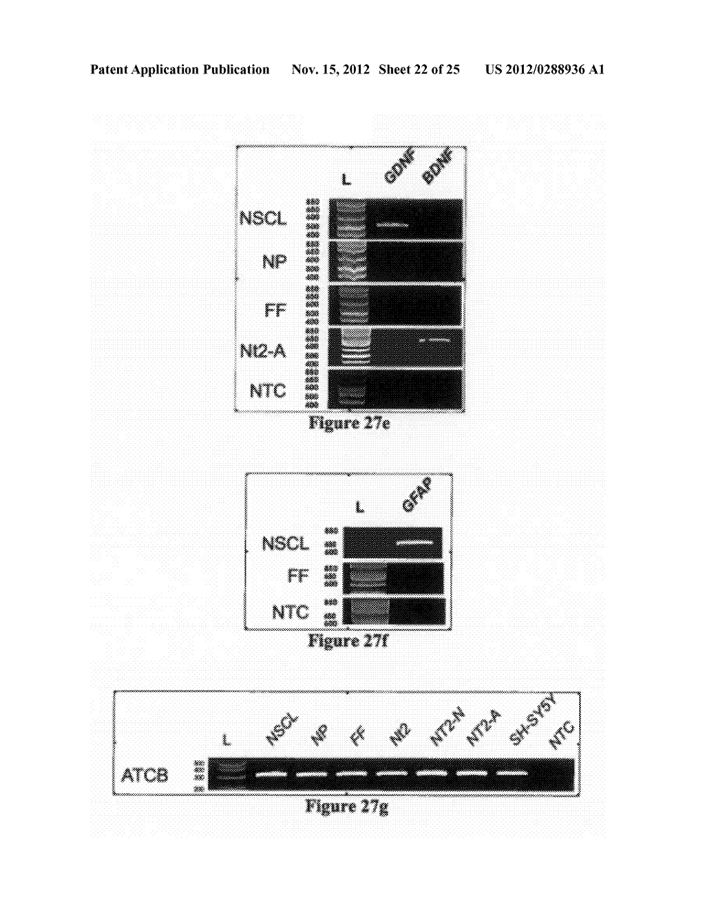 METHODS FOR REPROGRAMMING CELLS AND USES THEREOF - diagram, schematic, and image 23
