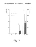 USE OF MEGANUCLEASES FOR INDUCING HOMOLOGOUS RECOMBINATION EX VIVO AND IN     TOTO IN VERTEBRATE SOMATIC TISSUES AND APPLICATION THEREOF diagram and image