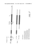 USE OF MEGANUCLEASES FOR INDUCING HOMOLOGOUS RECOMBINATION EX VIVO AND IN     TOTO IN VERTEBRATE SOMATIC TISSUES AND APPLICATION THEREOF diagram and image