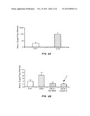 Compositions and Methods for Promoting Epithelialization and Wound Closure diagram and image