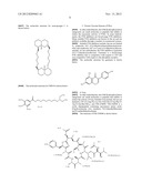 Compositions and Methods for Promoting Epithelialization and Wound Closure diagram and image