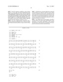 ANGIOGENICALLY EFFECTIVE UNIT DOSE OF FGF-2 AND METHOD OF USE diagram and image