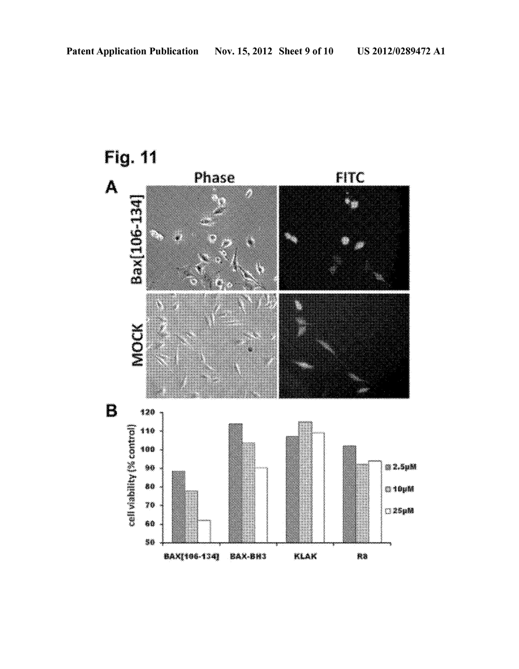 MOLECULES CAPABLE OF INDUCING CELL DEATH BY TARGETING THE MITOCHONDRIA AND     APPLICATIONS THEREOF - diagram, schematic, and image 10