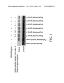 TREATMENT AND/OR PREVENTION OF INFLAMMATION AND CUTANEOUS PHOTODAMAGE AND     PHOTOPROTECTION OF THE SKIN WITH A WATER-SOLUBLE EXTRACT FROM PLANT OF     SOLANUM GENUS diagram and image