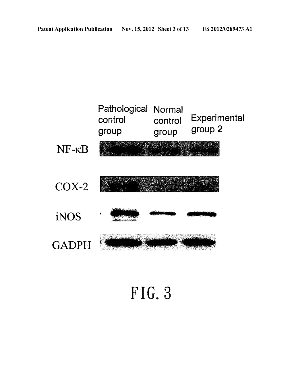 TREATMENT AND/OR PREVENTION OF INFLAMMATION AND CUTANEOUS PHOTODAMAGE AND     PHOTOPROTECTION OF THE SKIN WITH A WATER-SOLUBLE EXTRACT FROM PLANT OF     SOLANUM GENUS - diagram, schematic, and image 04