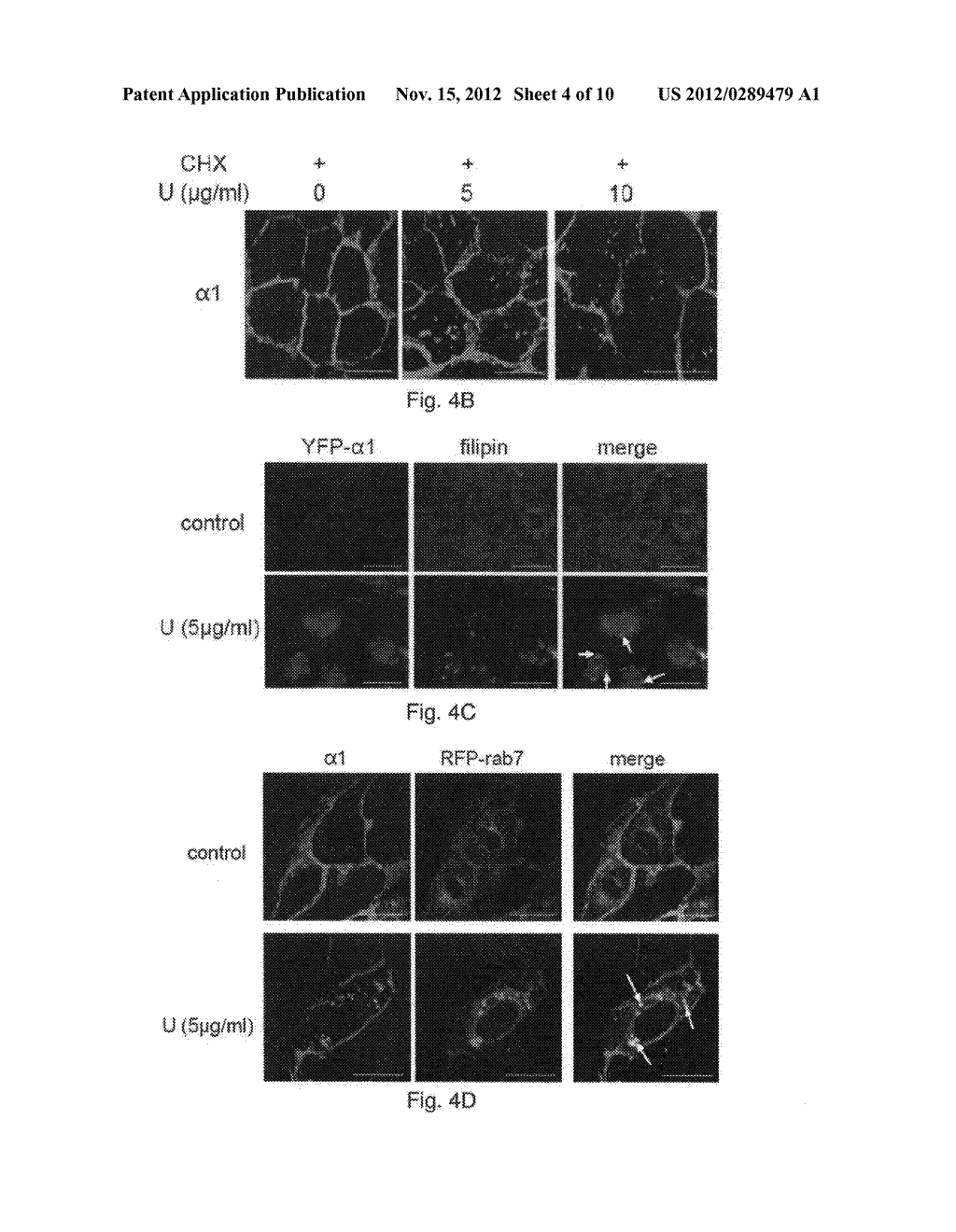 Materials and Methods Related to Sodium/Potassium Adenosine Triphosphate     and Cholesterol - diagram, schematic, and image 05