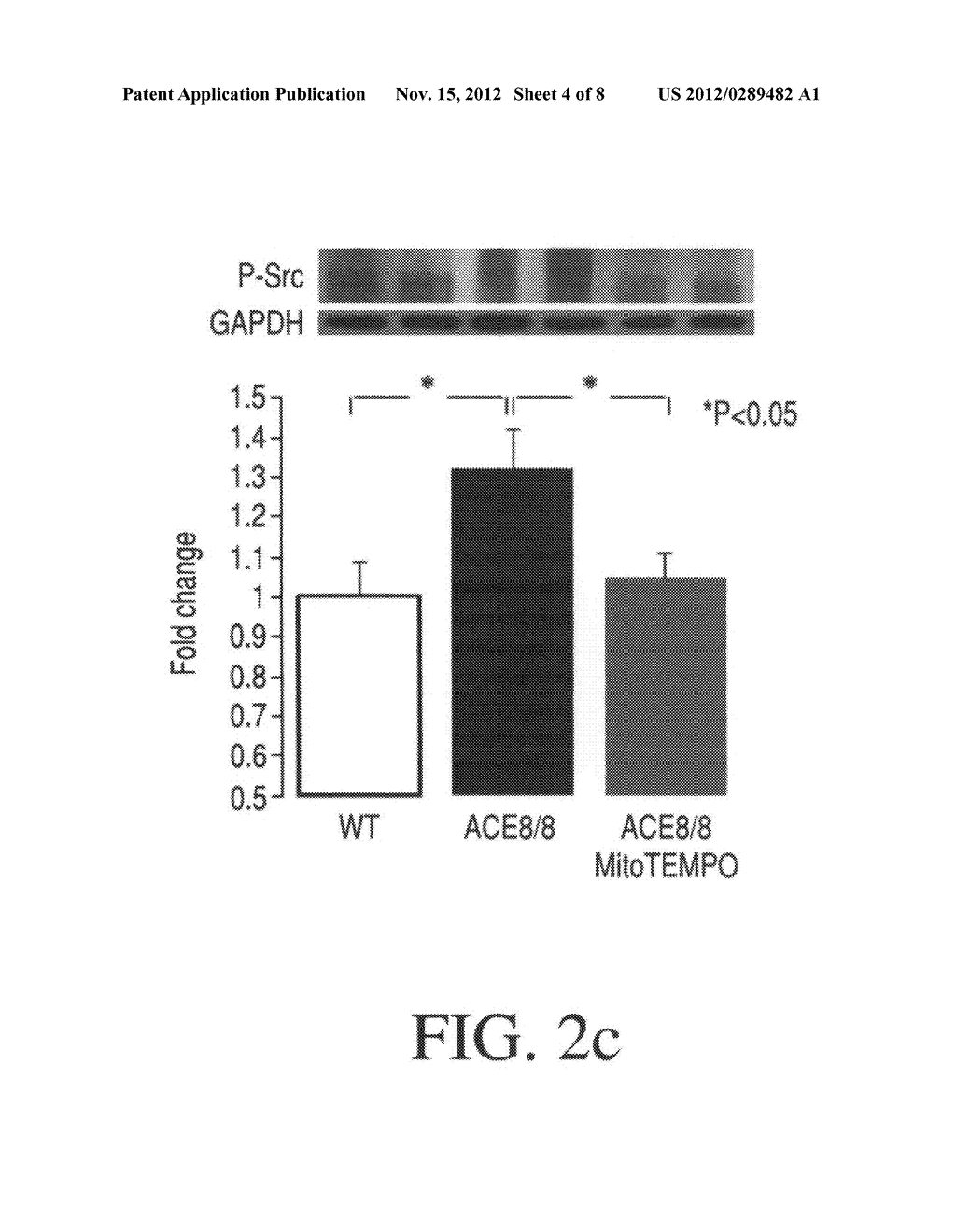 Method for modulating or controlling connexin 43(Cx43) level of a cell and     reducing arrhythmic risk - diagram, schematic, and image 05