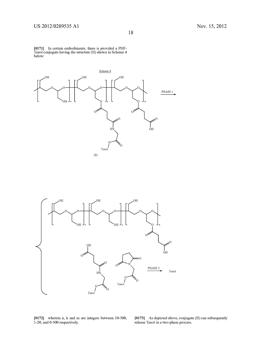 DUAL PHASE DRUG RELEASE SYSTEM - diagram, schematic, and image 27