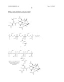 DUAL PHASE DRUG RELEASE SYSTEM diagram and image