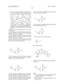 DUAL PHASE DRUG RELEASE SYSTEM diagram and image