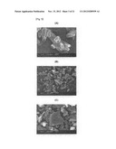 METHOD FOR PRODUCING FINE POWDER AND THE FINE POWDER PRODUCED BY THE SAME diagram and image