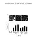 COMPOSITIONS AND METHODS FOR TREATING AND/OR PREVENTING CANCER BY     INHIBITING FATTY ACID BINDING PROTEINS diagram and image