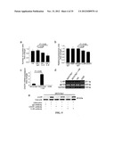 COMPOSITIONS AND METHODS FOR TREATING AND/OR PREVENTING CANCER BY     INHIBITING FATTY ACID BINDING PROTEINS diagram and image