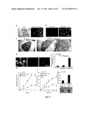 COMPOSITIONS AND METHODS FOR TREATING AND/OR PREVENTING CANCER BY     INHIBITING FATTY ACID BINDING PROTEINS diagram and image