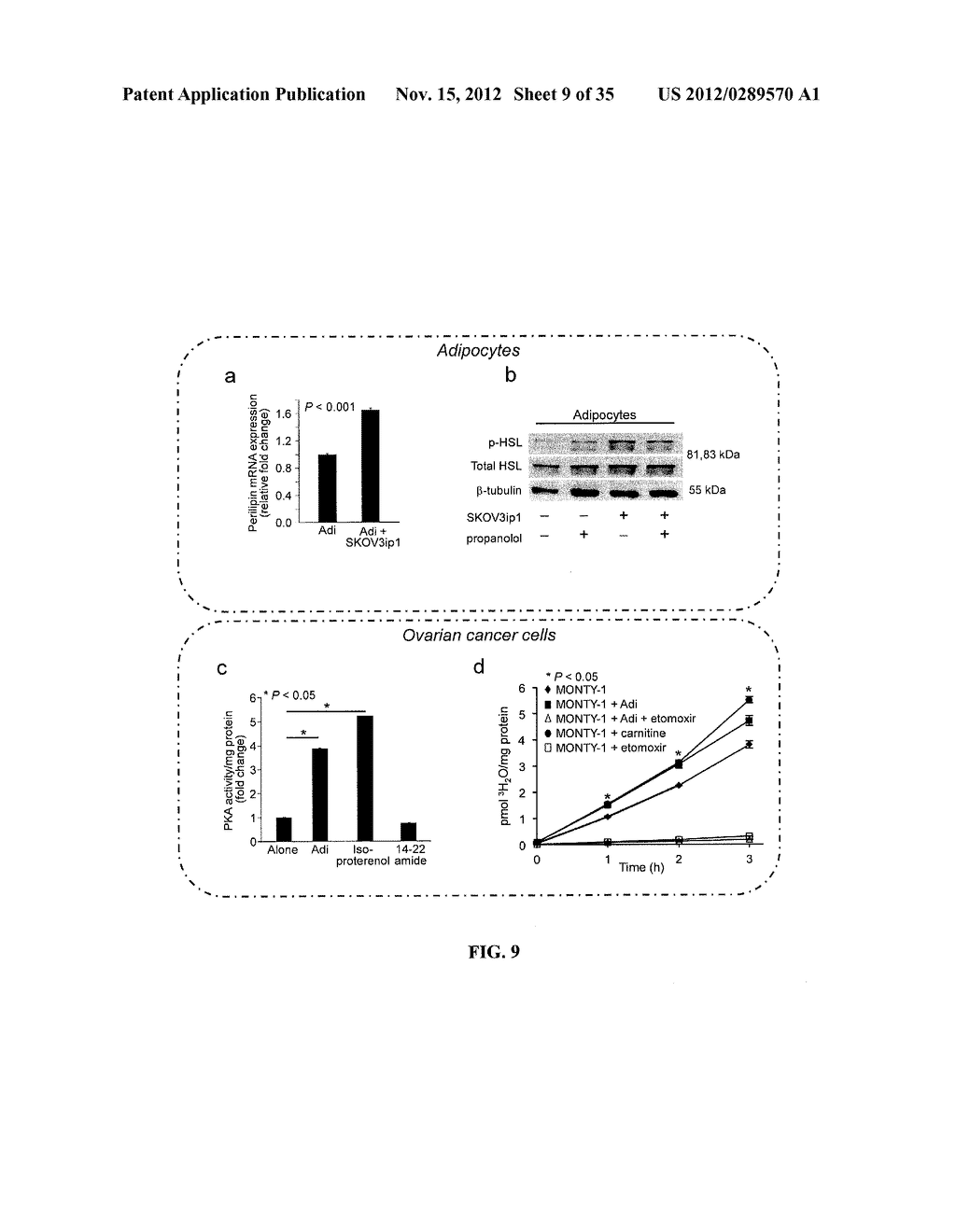COMPOSITIONS AND METHODS FOR TREATING AND/OR PREVENTING CANCER BY     INHIBITING FATTY ACID BINDING PROTEINS - diagram, schematic, and image 10