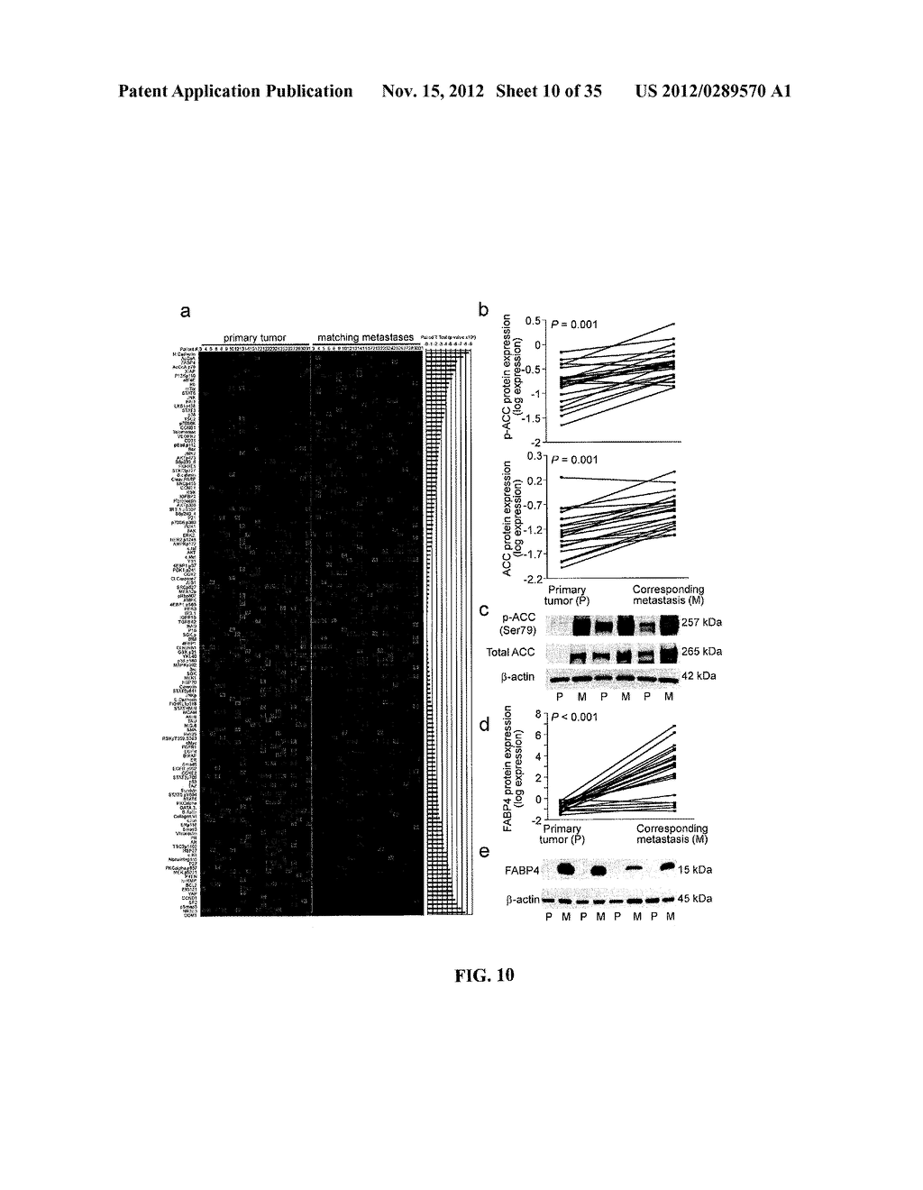 COMPOSITIONS AND METHODS FOR TREATING AND/OR PREVENTING CANCER BY     INHIBITING FATTY ACID BINDING PROTEINS - diagram, schematic, and image 11