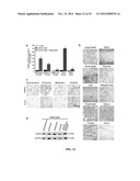 COMPOSITIONS AND METHODS FOR TREATING AND/OR PREVENTING CANCER BY     INHIBITING FATTY ACID BINDING PROTEINS diagram and image