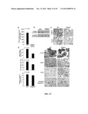 COMPOSITIONS AND METHODS FOR TREATING AND/OR PREVENTING CANCER BY     INHIBITING FATTY ACID BINDING PROTEINS diagram and image