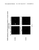 COMPOSITIONS AND METHODS FOR TREATING AND/OR PREVENTING CANCER BY     INHIBITING FATTY ACID BINDING PROTEINS diagram and image