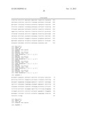 TREATMENT OF INSULIN RECEPTOR SUBSTRATE 2 (IRS2) RELATED DISEASES BY     INHIBITION OF NATURAL ANTISENSE TRANSCRIPT TO IRS2 AND TRANSCRIPTION     FACTOR E3 (TFE3) diagram and image